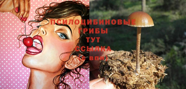 наркотики Алексин
