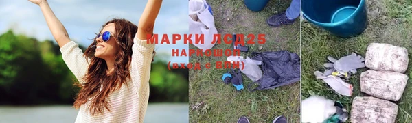 крисы Алзамай