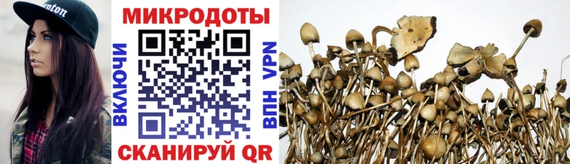 KRAKEN ССЫЛКА  Шацк  Псилоцибиновые грибы мухоморы  продажа наркотиков 